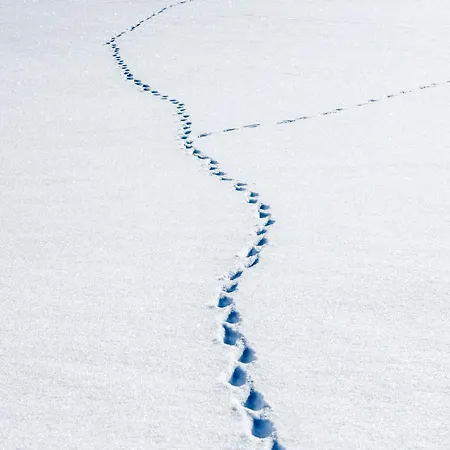 Spacieux Avec Wifi Au Pied Des Pistes - La Daille - Fr-1-694-54